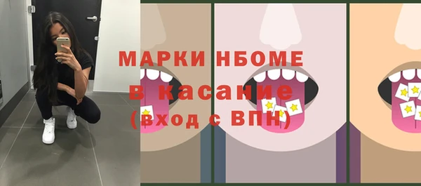 амф Инсар